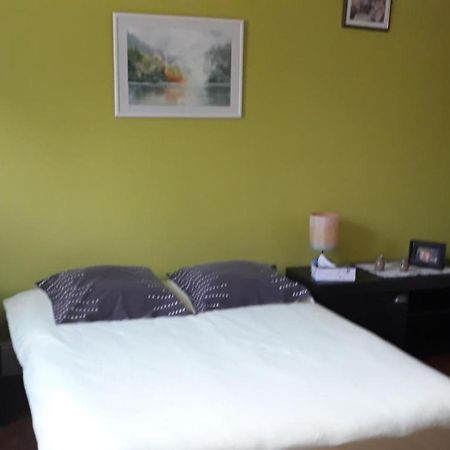 Appartement "Les Goumis" Baccarat Bagian luar foto