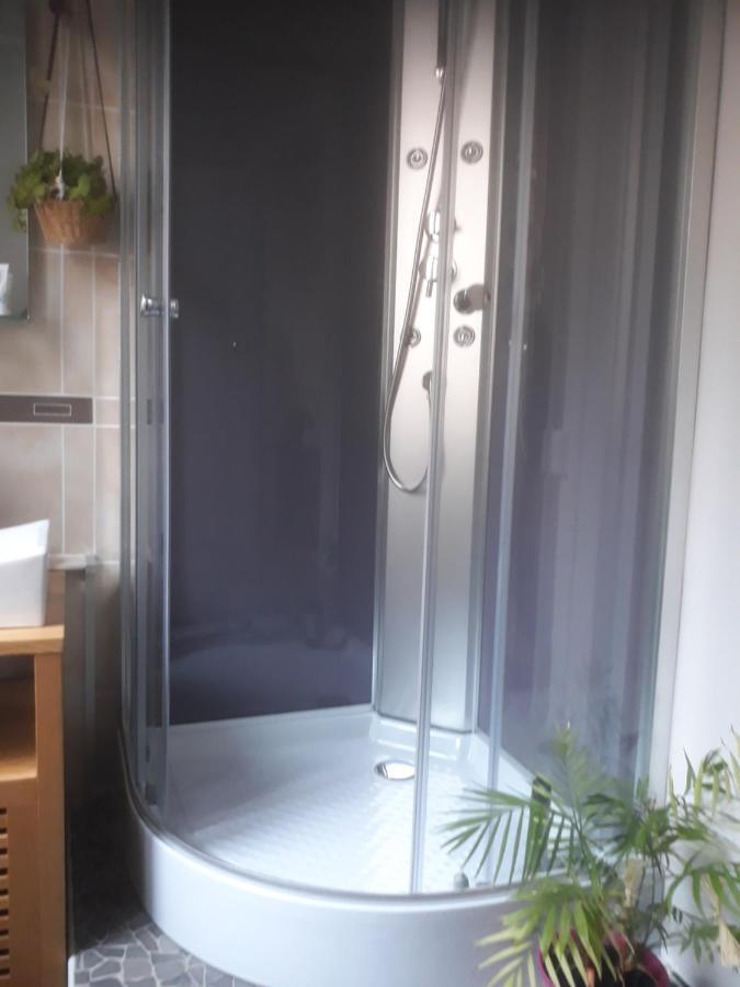 Appartement "Les Goumis" Baccarat Bagian luar foto